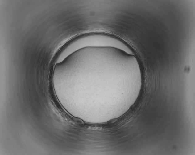 X0000114680440200911181234