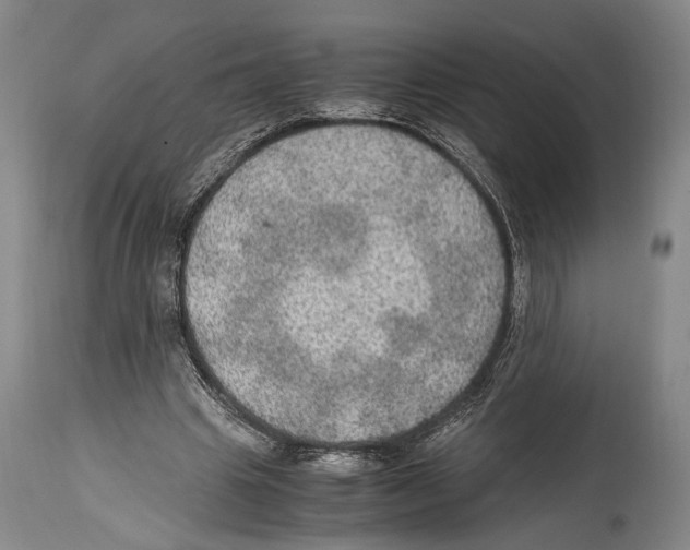 X0000114680441200911181234