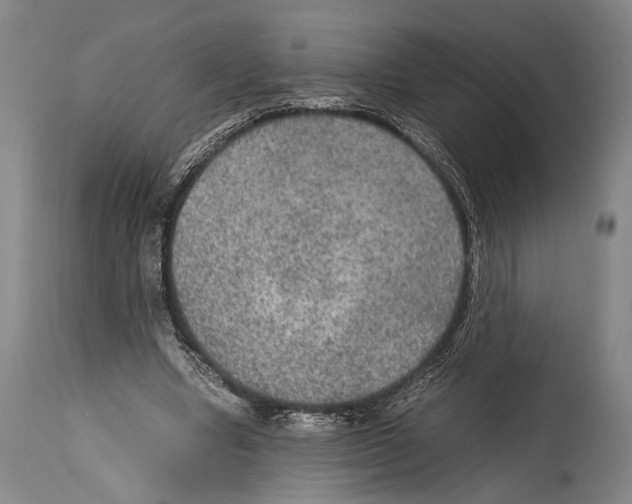 X0000114680442200911181234