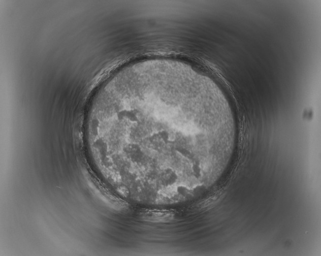 X0000114680443200911181234