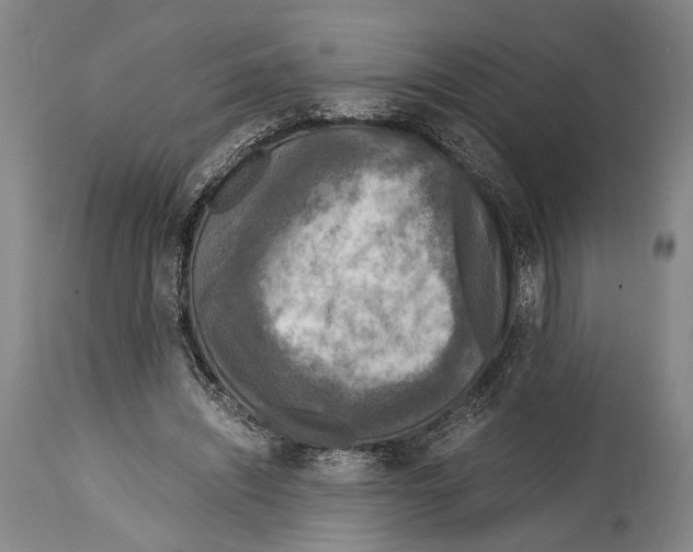 X0000114680444200911181234