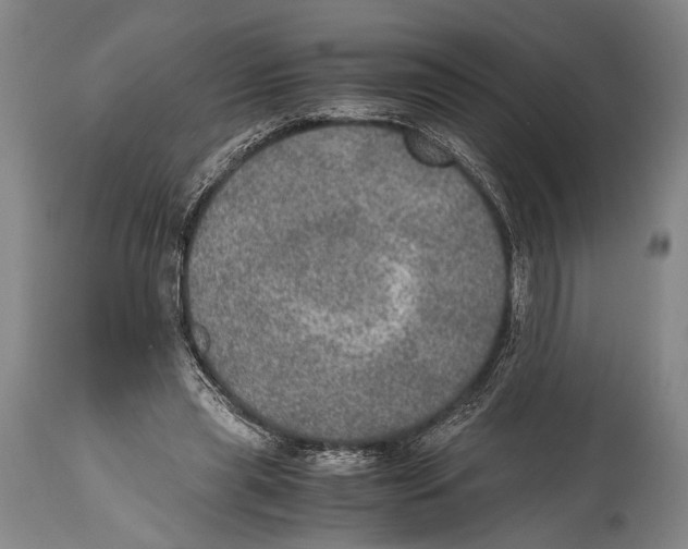 X0000114680445200911181234