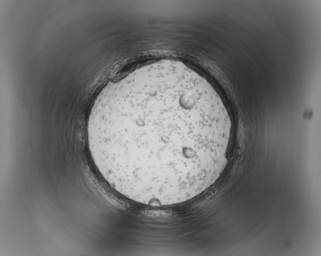X0000114680449200911181234