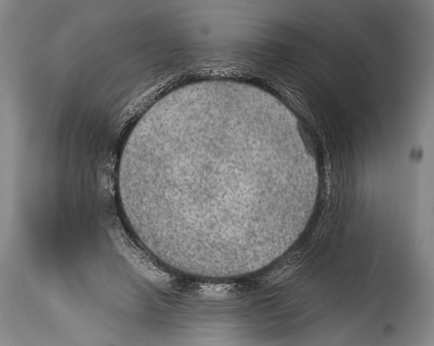 X0000114680450200911181234