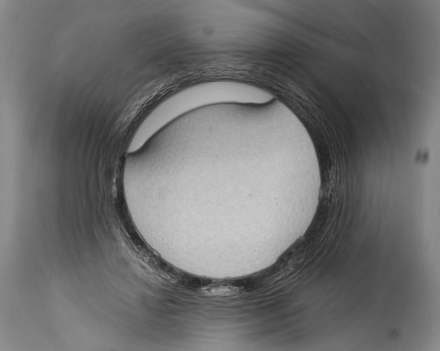 X0000114680452200911181234