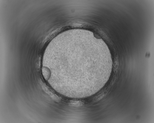 X0000114680454200911181234