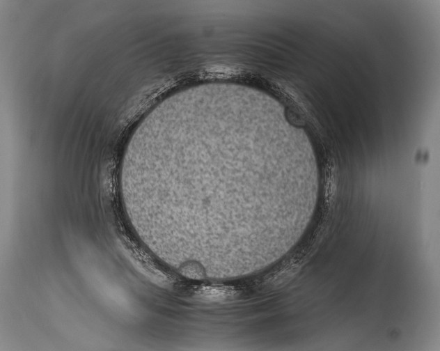 X0000114680455200911181234