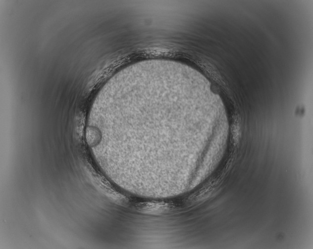 X0000114680458200911181234