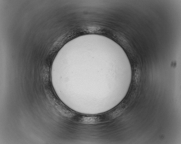 X0000114680461200911181234
