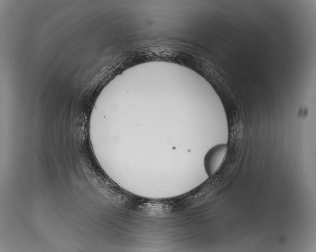X0000114680464200911181234