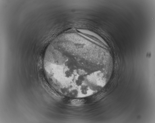 X0000114680465200911181234