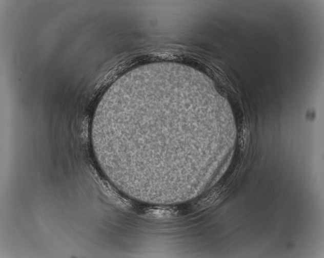 X0000114680466200911181234