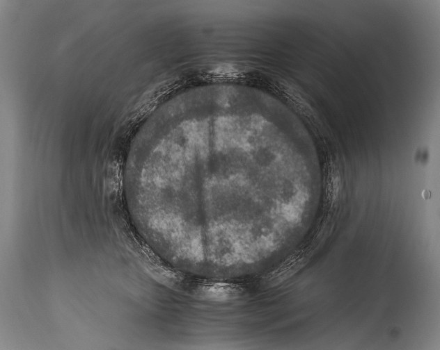 X0000114680467200911181234