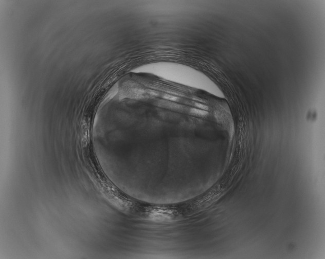 X0000114680471200911181234