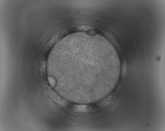 X0000114680473200911181234