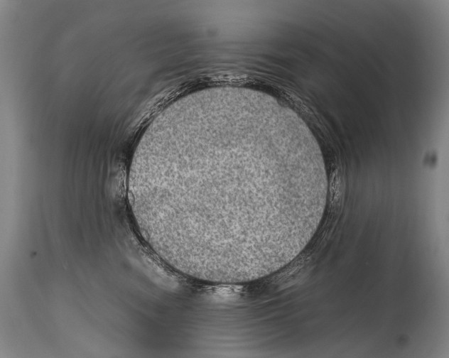 X0000114680474200911181234