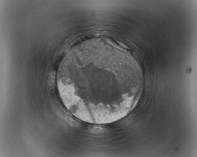 X0000114680475200911181234
