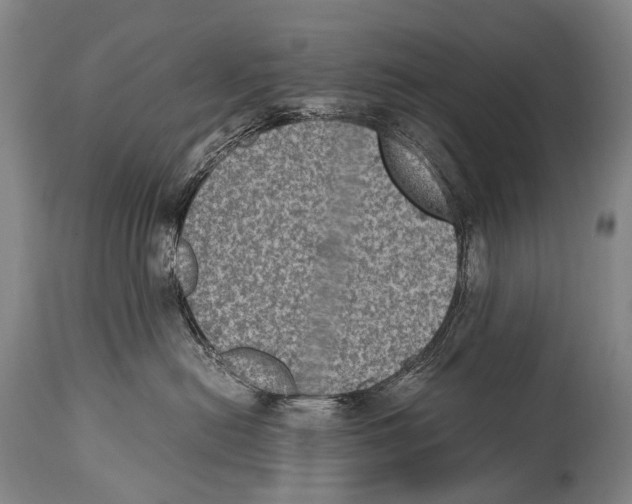 X0000114680478200911181234