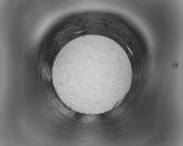 X0000114680479200911181234