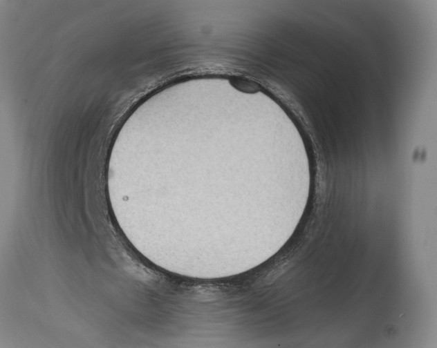 X0000114680481200911181233