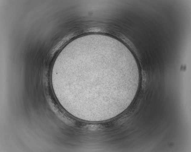 X0000114680482200911181233