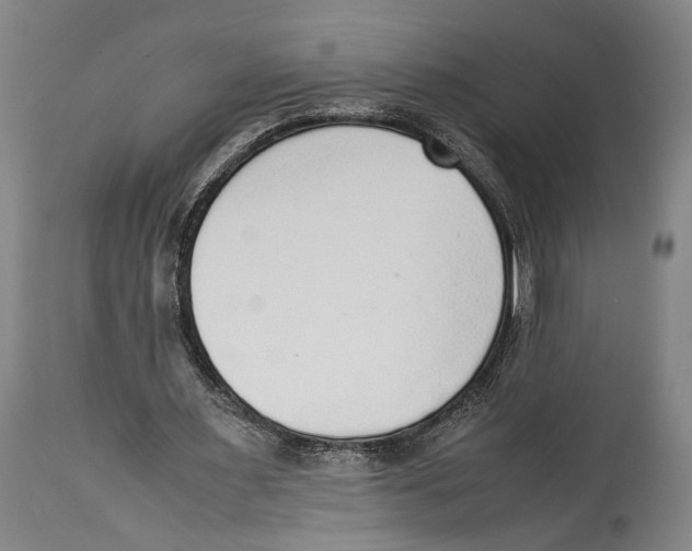 X0000114680483200911181233