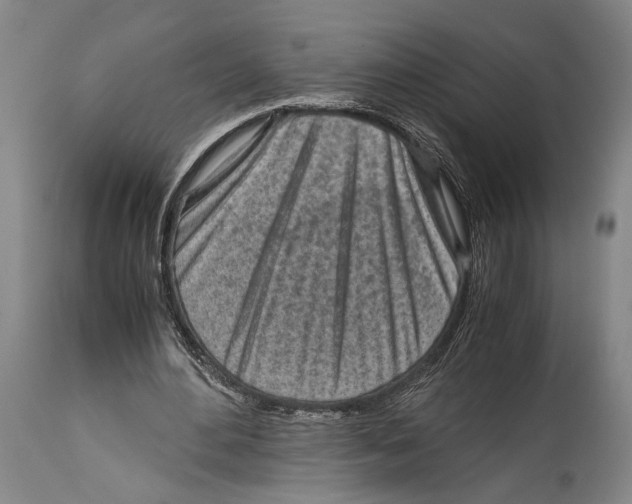X0000114680484200911181233
