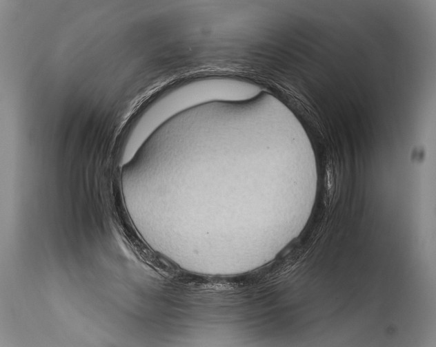 X0000114680492200911181233