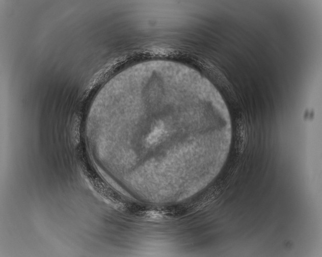 X0000114680496200911181233