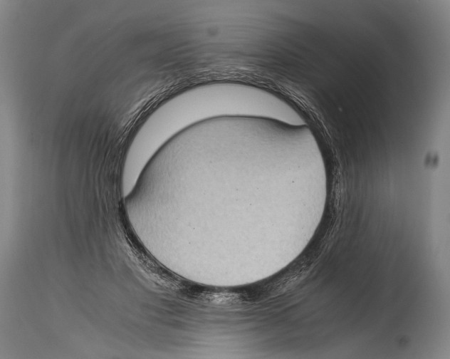 X0000114680501200911181233