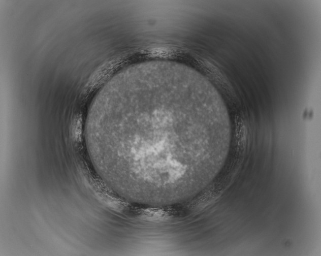 X0000114680502200911181233
