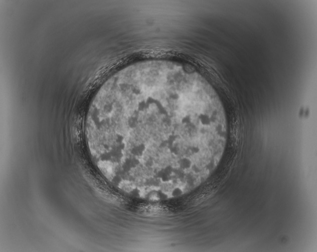 X0000114680503200911181233