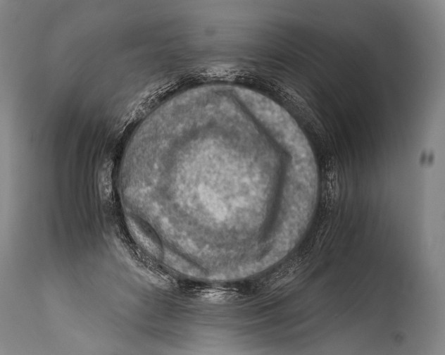 X0000114680504200911181233