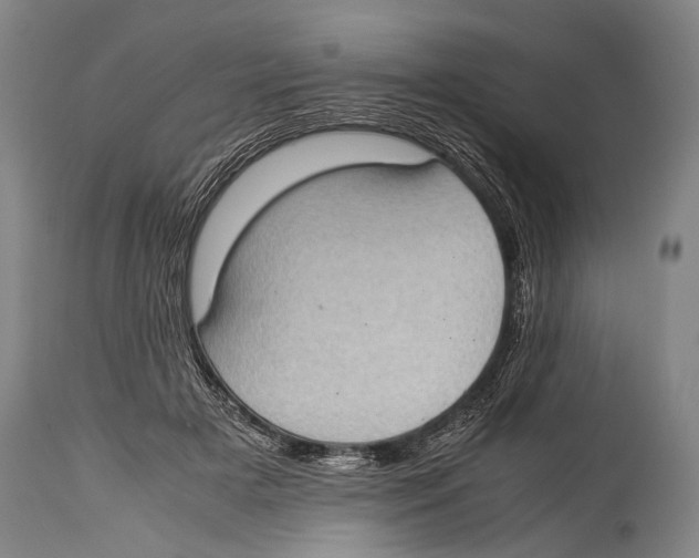 X0000114680505200911181233