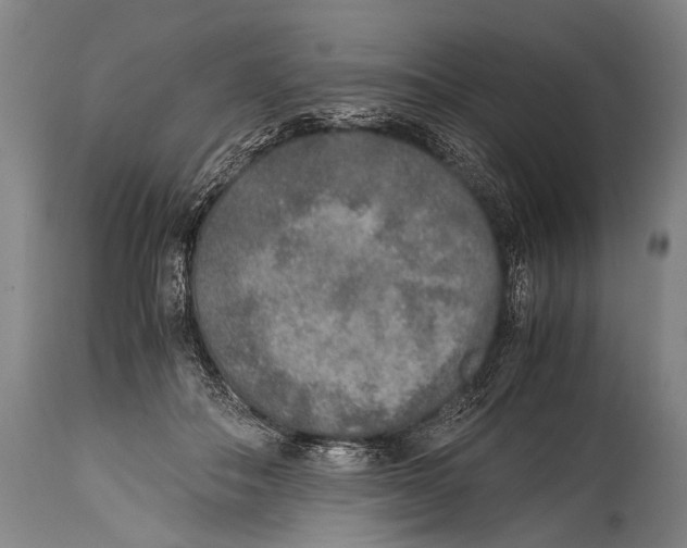 X0000114680506200911181233