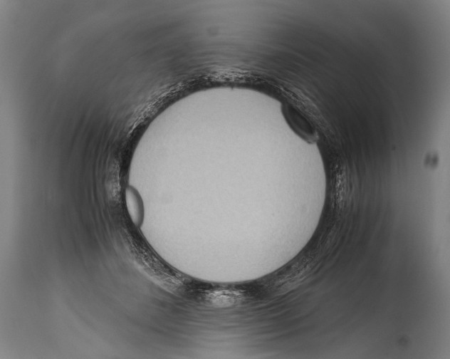 X0000114680508200911181233