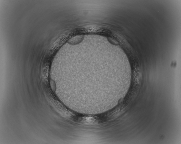 X0000114680509200911181233