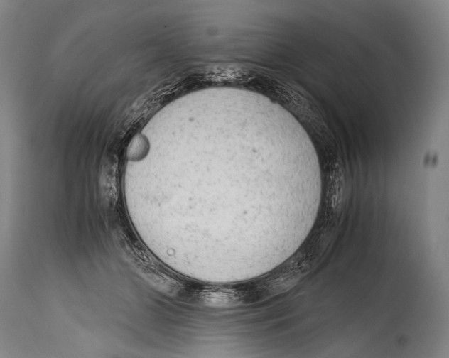 X0000114680510200911181233