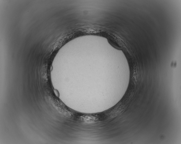 X0000114680512200911181233