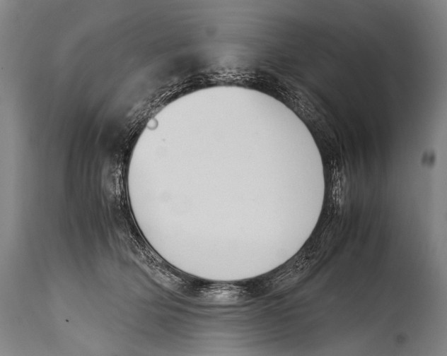 X0000114680514200911181233
