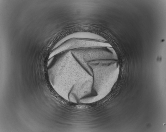 X0000114680520200911181233