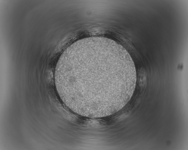 X0000114680523200911181233