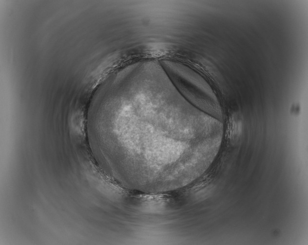 X0000114680524200911181233