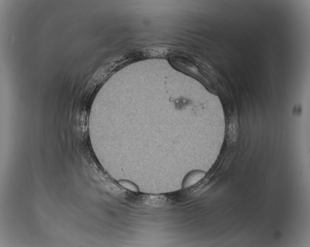 X0000114680525200911181233
