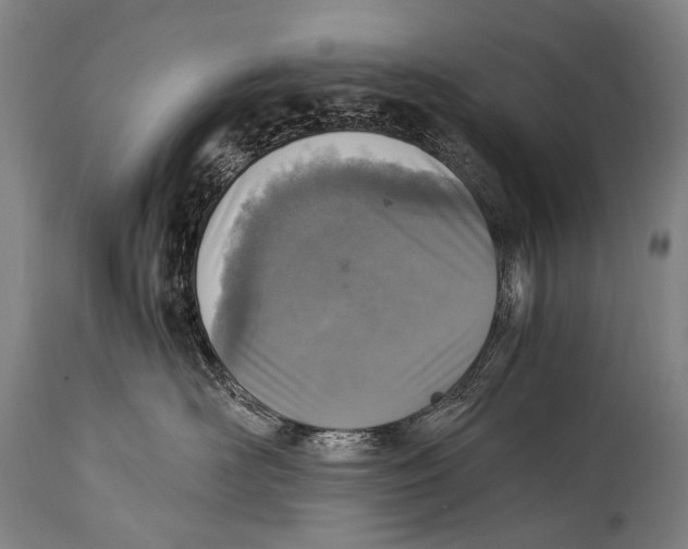 X0000114680526200911181233