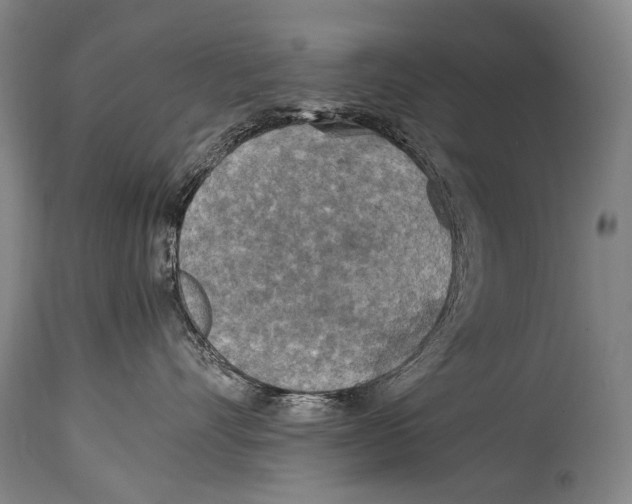 X0000114680528200911181233