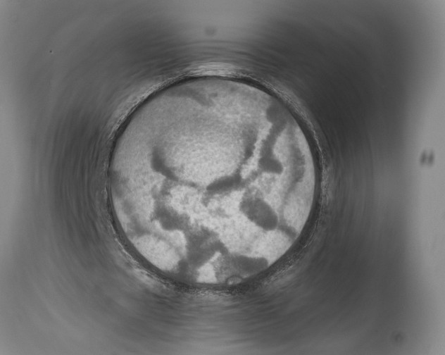 X0000114680529200911181232
