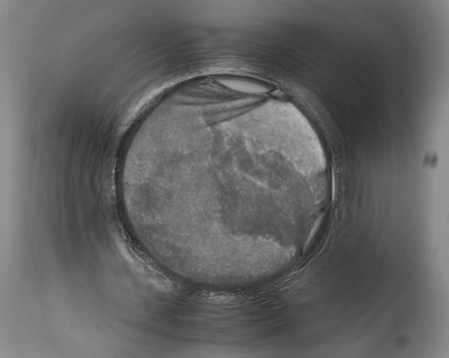 X0000114680531200911181232