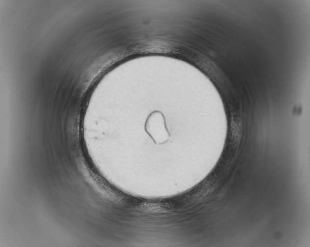 X0000114680534200911181232