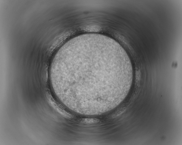X0000114680541200911181232